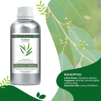 eucalyptus essential oil