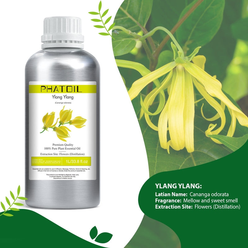 ylang ylang essential oil